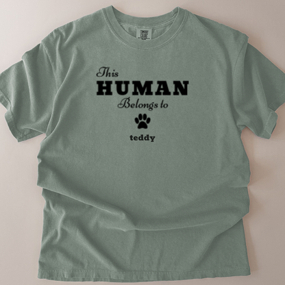personalised this human belongs to (your dogs name) t-shirt