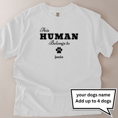 personalised this human belongs to (your dogs name) t-shirt